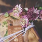 钱柜平台官网多元游戏生态与新手友好服务解读 11sqqnik