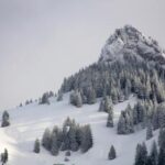 非凡娱乐娱乐的崛起:如何改变我们的休闲方式 dj620pp